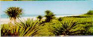 Praia de Macaé